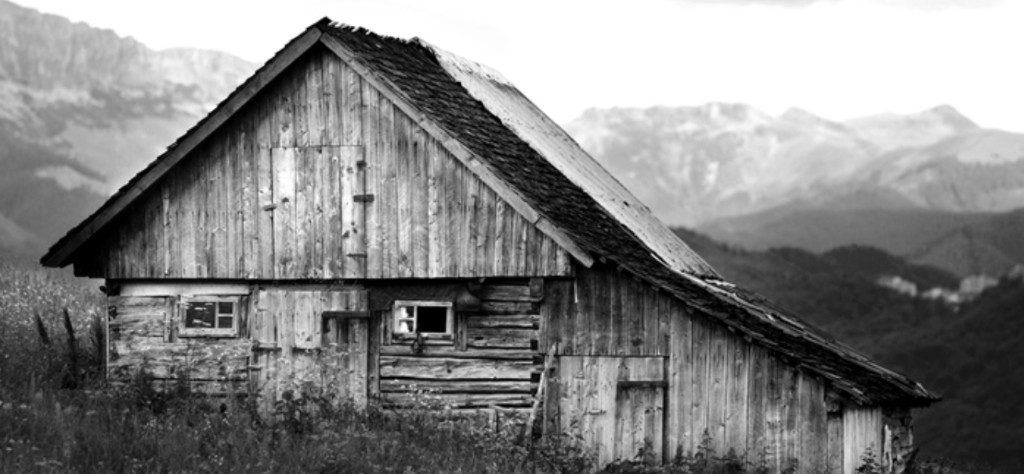 Homestead Construction